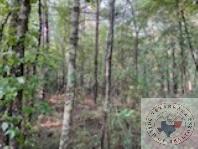 0 Mc 485, Texarkana AR, 71854 land for sale