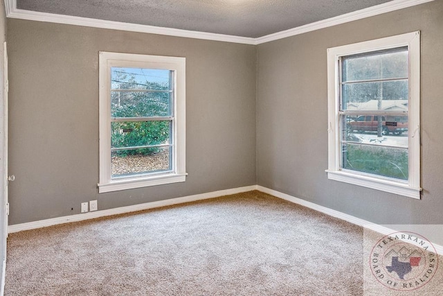 carpeted empty room with a textured ceiling, baseboards, and crown molding