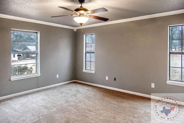 spare room featuring a textured ceiling, ornamental molding, and carpet