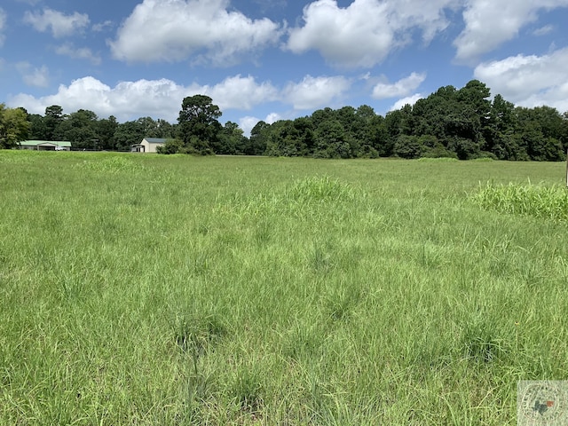 TBD Fm 785, Atlanta, TX 75551 - photo 1