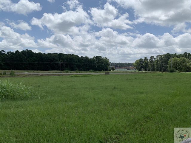 TBD Fm 785, Atlanta, TX 75551 - photo 3