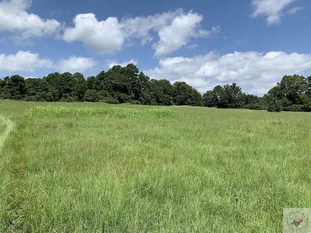 TBD Fm 785, Atlanta, TX 75551 - photo 2