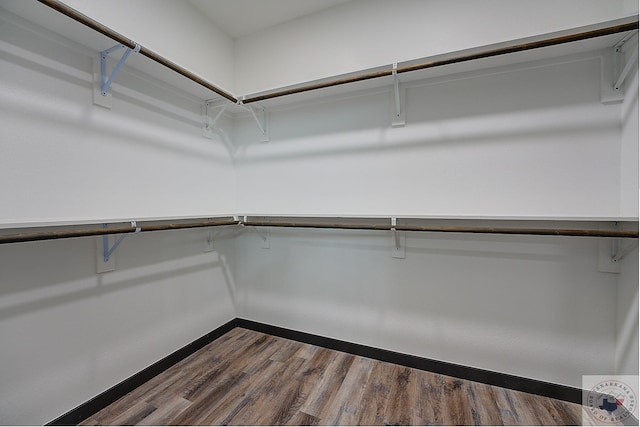 walk in closet with hardwood / wood-style flooring