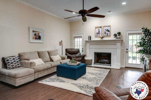 living area with a fireplace with flush hearth, a ceiling fan, crown molding, and plenty of natural light