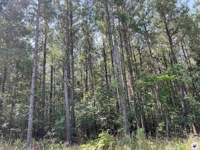17.08AC New Dora Rd, Haworth, OK 74740