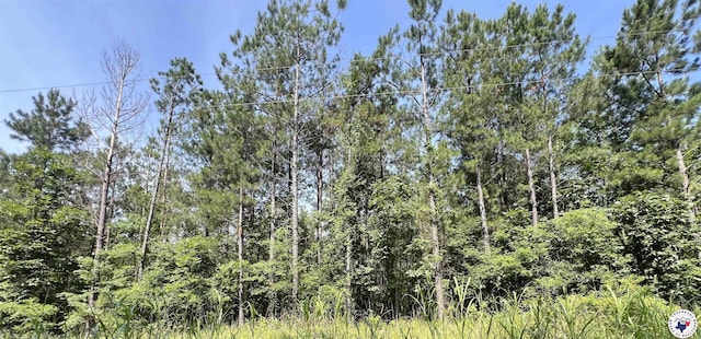 17.08AC New Dora Rd, Haworth, OK 74740