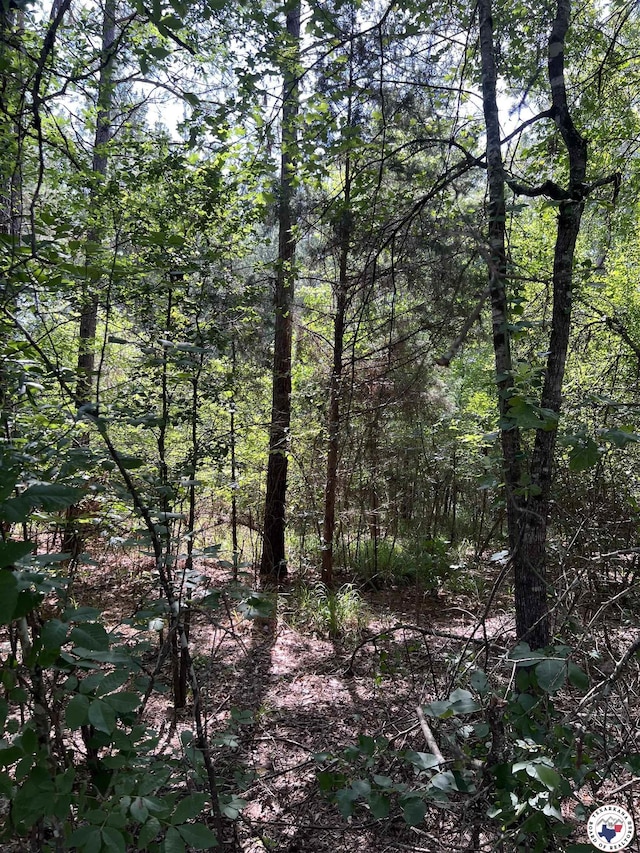 17.08AC New Dora Rd, Haworth, OK 74740