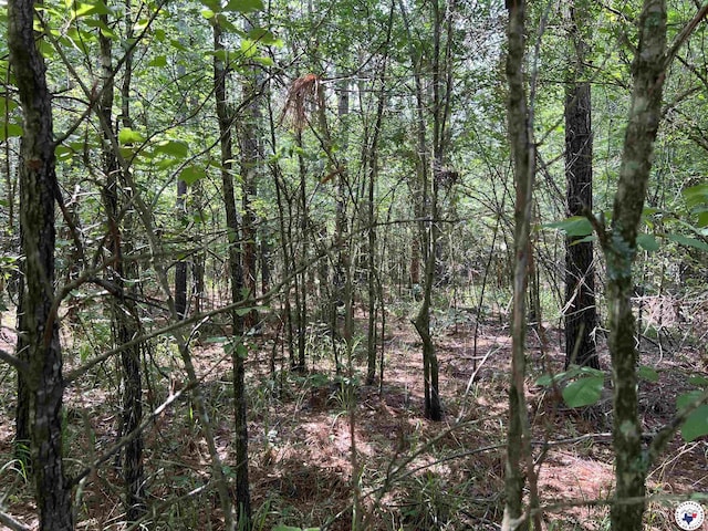 17.08AC New Dora Rd, Haworth, OK 74740