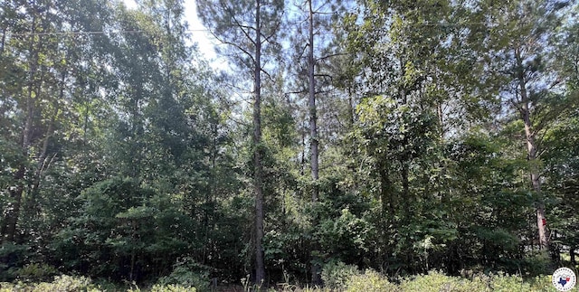 17.08AC New Dora Rd, Haworth, OK 74740