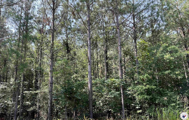 17.08AC New Dora Rd, Haworth, OK 74740