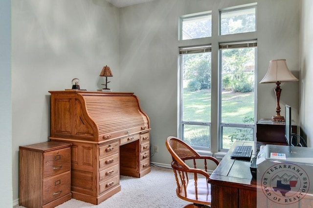 office with light colored carpet and a wealth of natural light