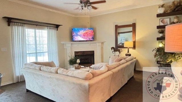 living room featuring ceiling fan and ornamental molding