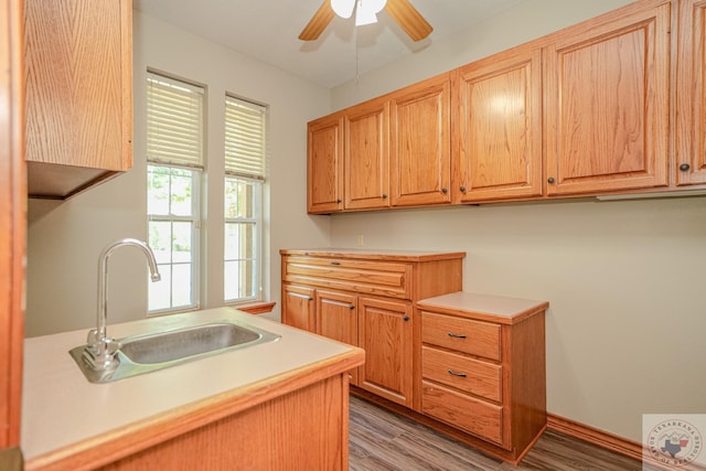 kitchen featuring sink, light wood-type flooring, and ceiling fan