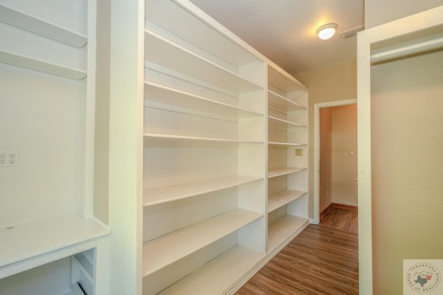 spacious closet featuring wood-type flooring