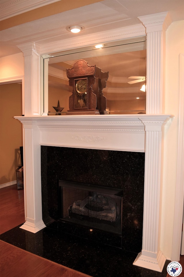 6002 Forest Bnd, Texarkana, AR 71854 - detailed view of a high end fireplace and wood finished floors