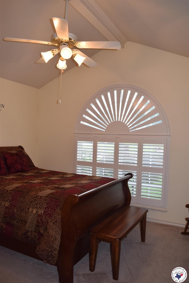 6002 Forest Bnd, Texarkana, AR 71854 - bedroom featuring multiple windows, carpet flooring, and ceiling fan