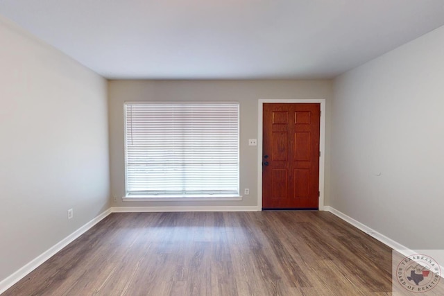 foyer entrance featuring dark hardwood / wood-style flooring