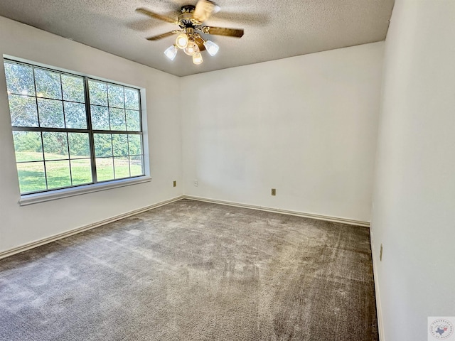 spare room with a textured ceiling, a wealth of natural light, and carpet