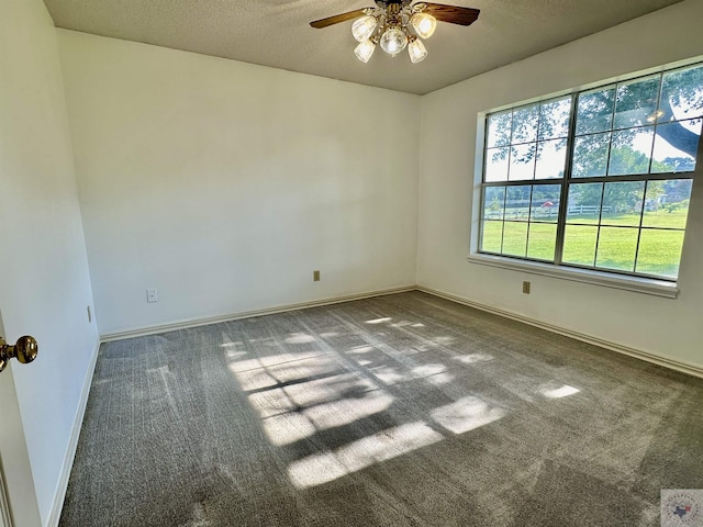 empty room featuring ceiling fan, carpet flooring, and a textured ceiling