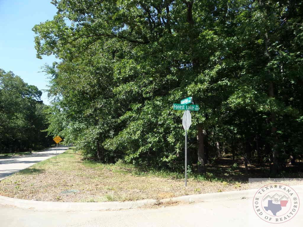 LOT18, 19 Lakeridge, Texarkana, TX 75503