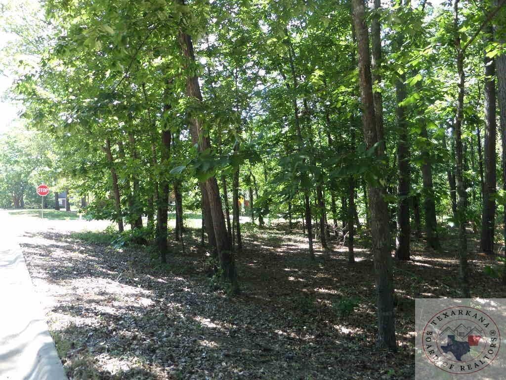 LOT18, 19 Lakeridge, Texarkana, TX 75503