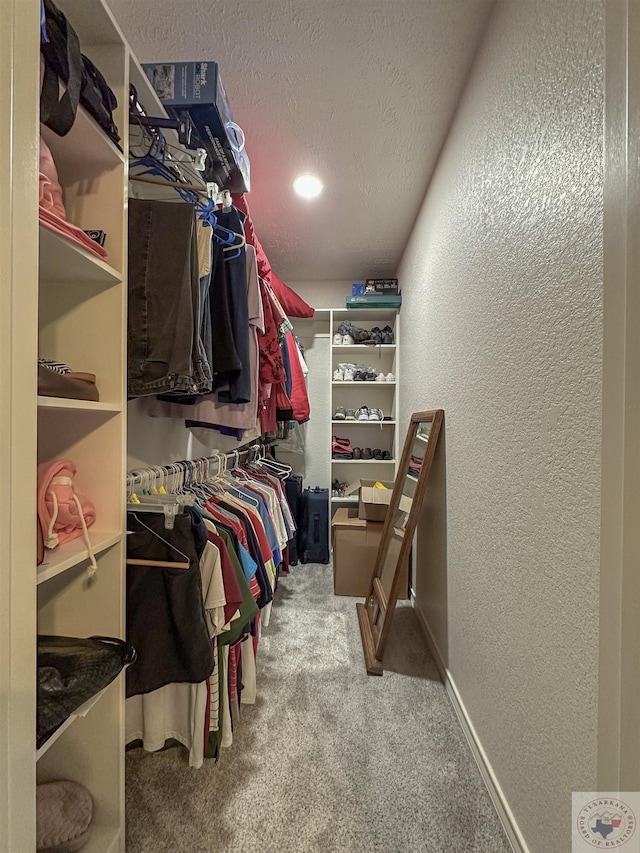 spacious closet with carpet