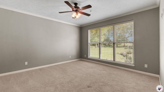 588 B K Pickering Dr, Texarkana, TX 75501 - carpeted spare room featuring healthy amount of natural light, baseboards, a ceiling fan, and ornamental molding