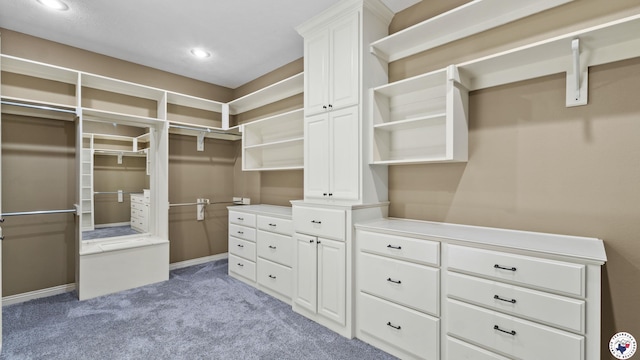 588 B K Pickering Dr, Texarkana, TX 75501 - spacious closet with light carpet