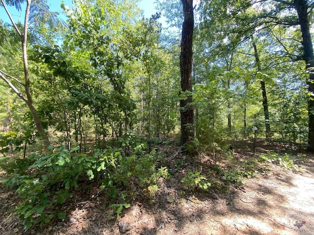 0 County Road 4507, Dekalb TX, 75559 land for sale