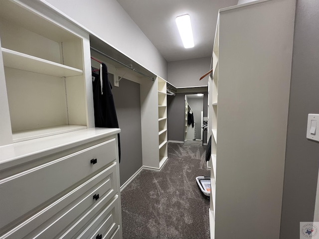 walk in closet with dark colored carpet