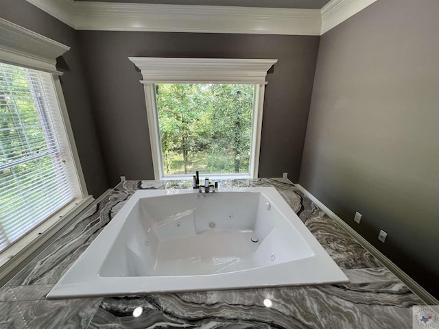 bathroom with crown molding and a washtub