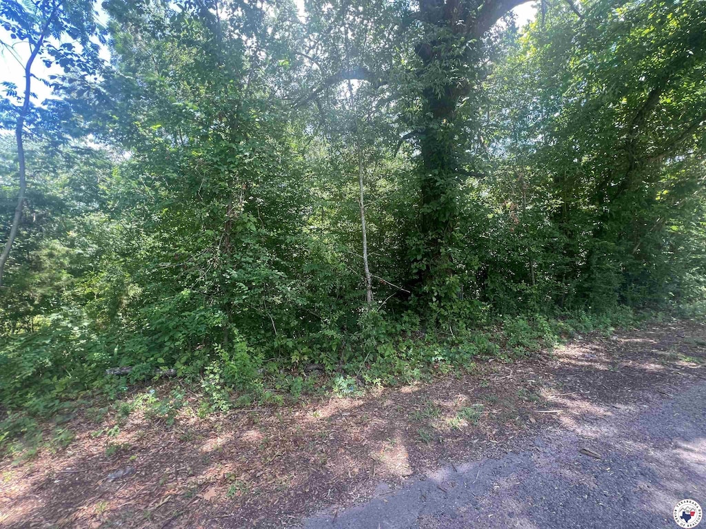 604 N Elm St, New Boston, TX 75570 - photo 2