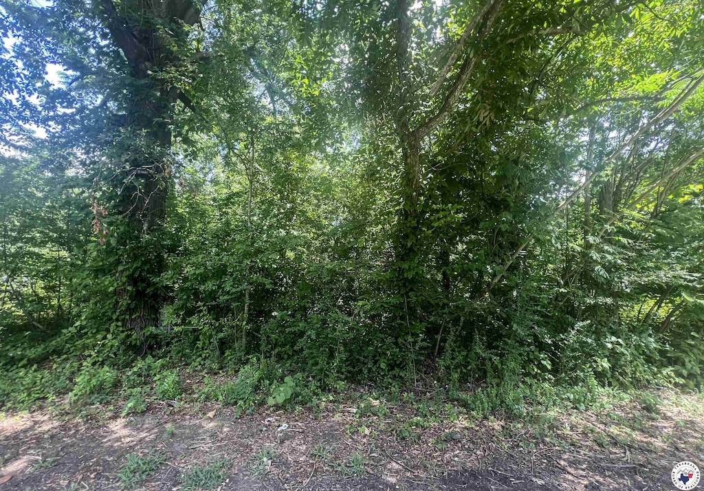 604 N Elm St, New Boston, TX 75570 - photo 1