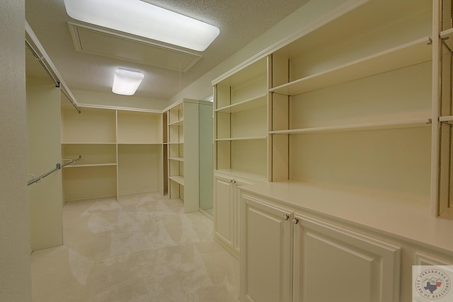 spacious closet featuring light carpet