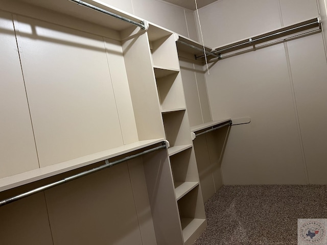 119 Krobot Cir, Texarkana, TX 75503 - spacious closet featuring dark carpet