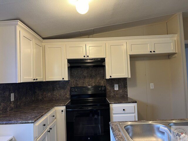 119 Krobot Cir, Texarkana, TX 75503 - kitchen featuring white cabinets, sink, black / electric stove, and lofted ceiling