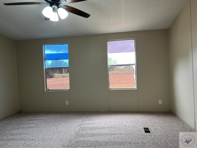 119 Krobot Cir, Texarkana, TX 75503 - spare room with ceiling fan, a wealth of natural light, and carpet flooring