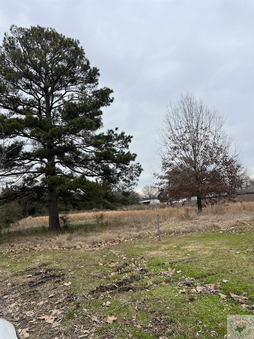 TBD Courthouse Ave, New Boston, TX 75570 - photo 3