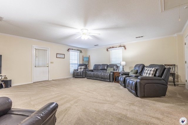 505 Langford Ln, New Boston, TX 75570 - living room featuring crown molding, ceiling fan, carpet, attic access, and baseboards