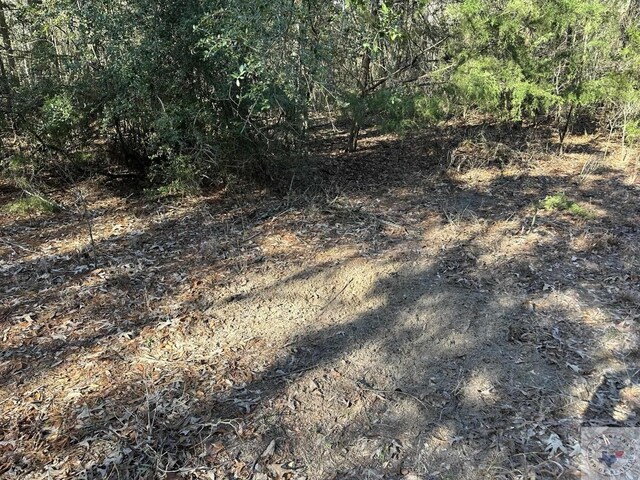 1510 County Road 2615, Atlanta, TX 75566