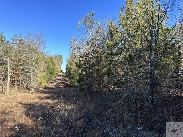 1510 County Road 2615, Atlanta, TX 75566