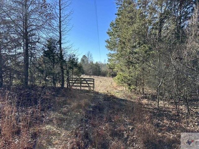 1510 County Road 2615, Atlanta, TX 75566