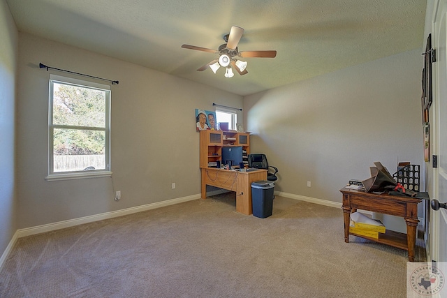 carpeted office space featuring ceiling fan and a wealth of natural light