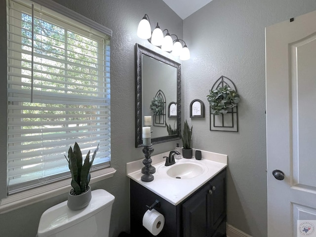 bathroom with toilet and vanity