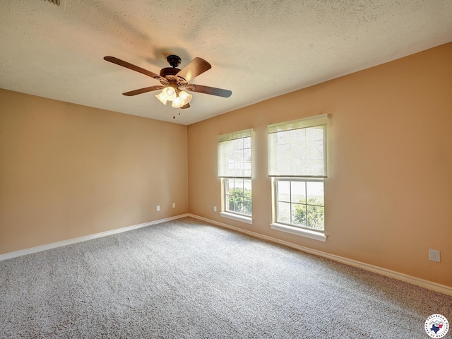 409 Phillips Cir, Wake Village, TX 75501 - photo 23