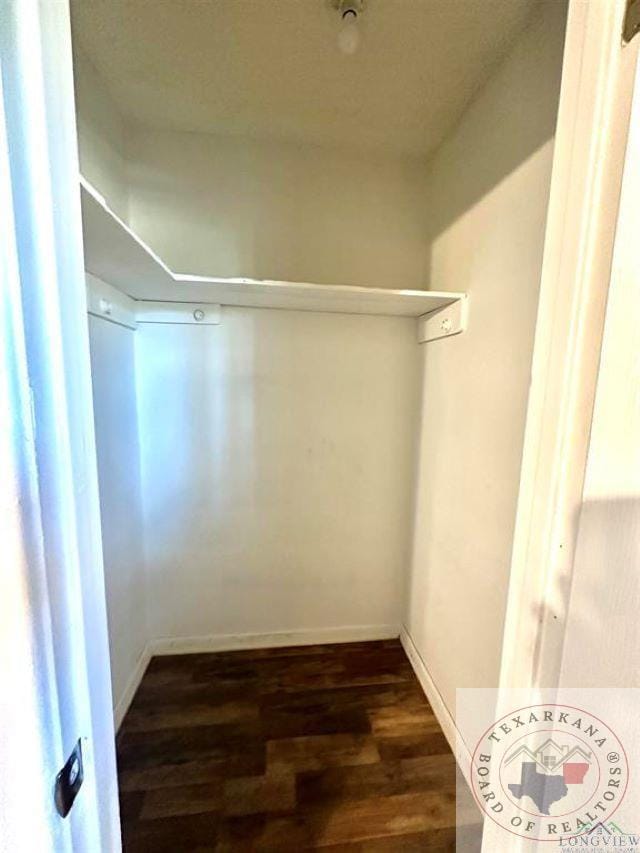 walk in closet with dark hardwood / wood-style flooring