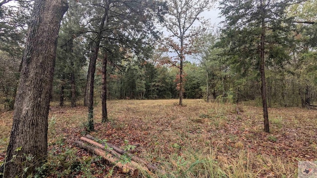 2832 Fm 44 E, Dekalb TX, 75559 land for sale