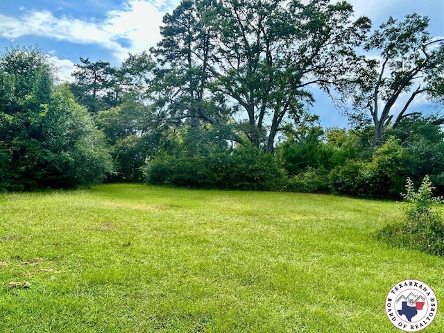 412 Loop 236, Queen City, TX 75572 - photo 20