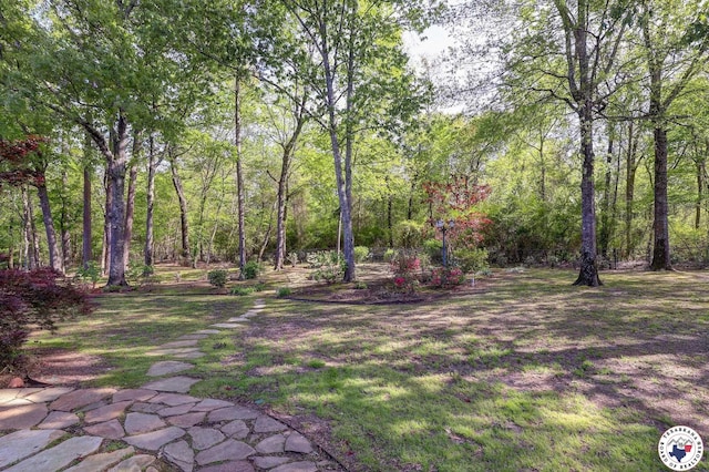 6632 Lakeridge Dr, Texarkana, TX 75503 - view of yard with a forest view
