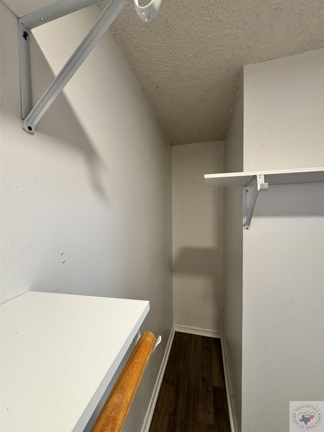 spacious closet featuring hardwood / wood-style floors